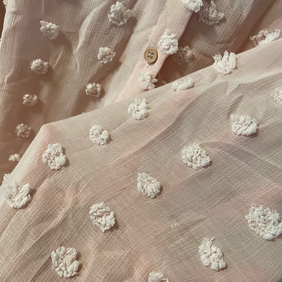 Sheer Pom Button Down Blush Blouse - Picture 3 of 4